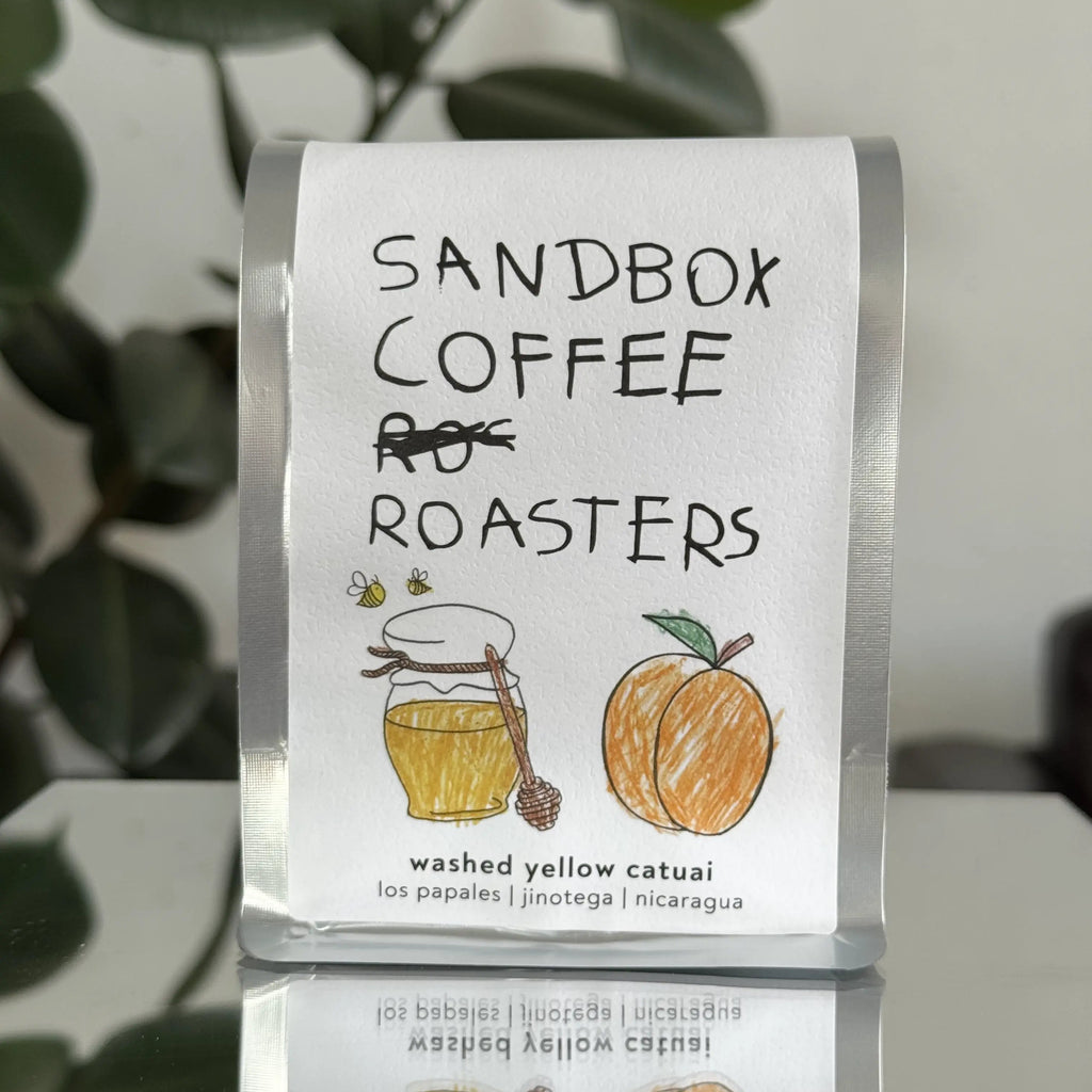 Washed Yellow Catuai