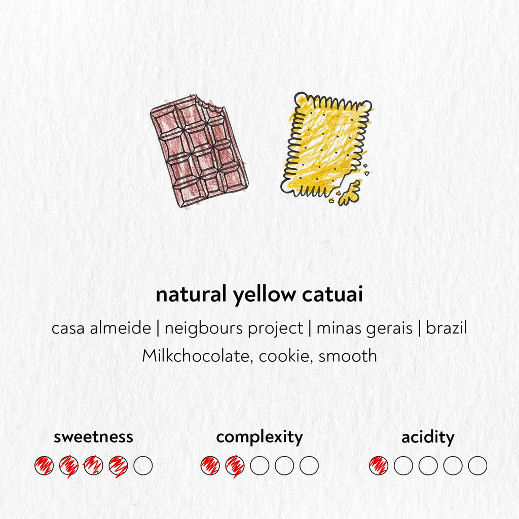 Natural Yellow Catuai