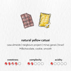 Natural Yellow Catuai